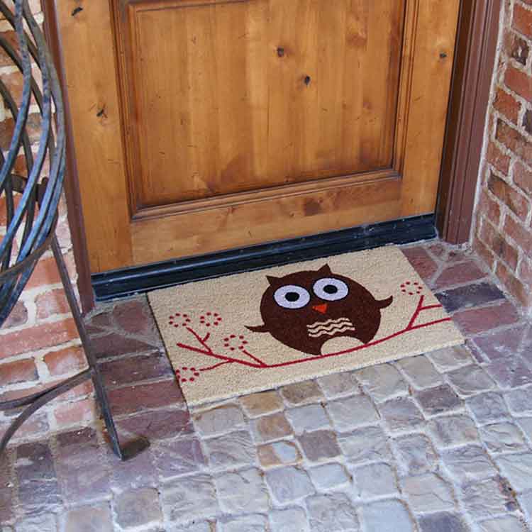 Hooo's There? Owl Doormat with Wood Entrance Door