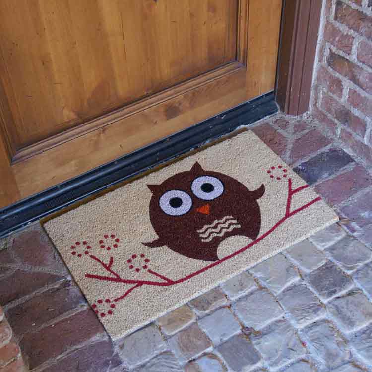 Hooo's There Owl Doormat on Stone Floor