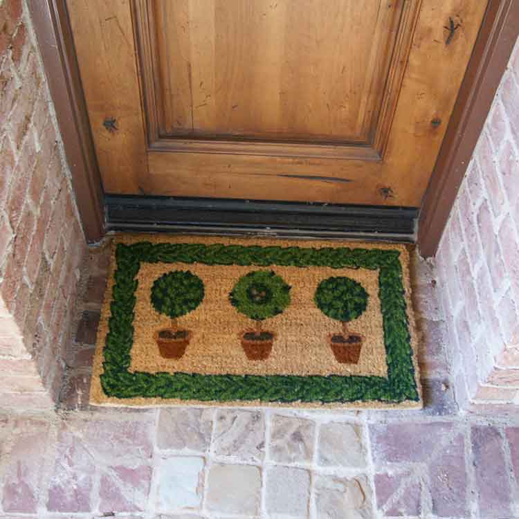 Grandma's Plants Coir Entrance Mat with Wood Entrance Door