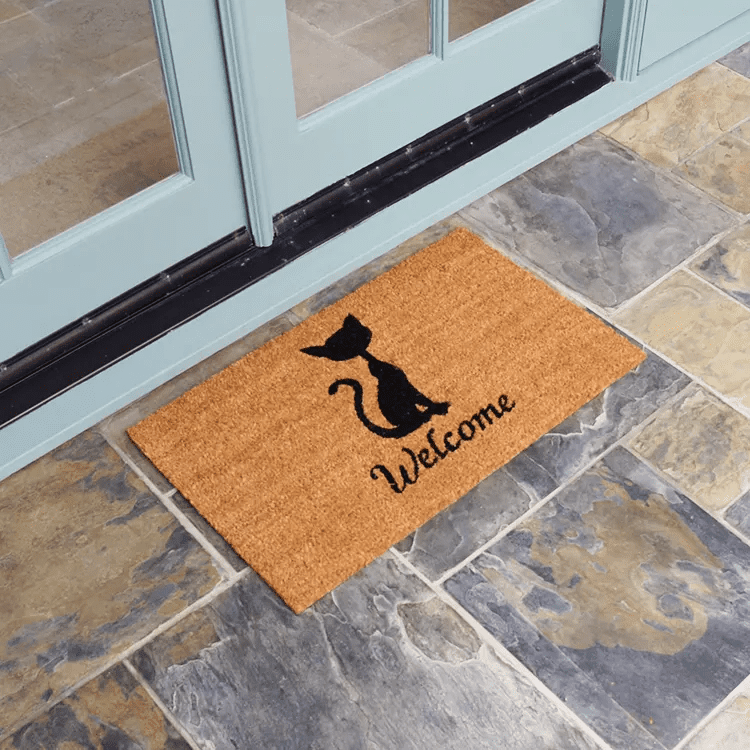 Welcome Adorable Cat Doormat at Door Entrance